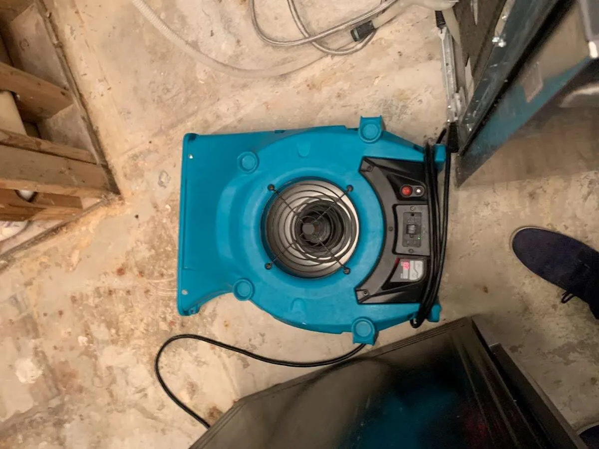 Air mover drying equipment for Mold Remediation & Removal in Myrtle Grove