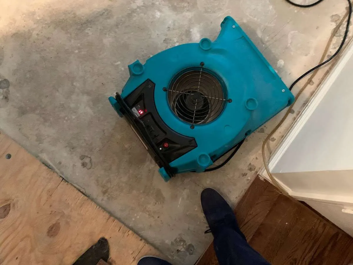 Air mover drying subfloor during Leak Detection & Repair in Myrtle Grove